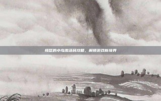 愤怒的小鸟激活码攻略，解锁游戏新境界