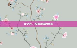 龙之谷，探索满级的秘密