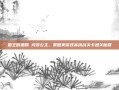 国王的恩赐 戎装公主，策略类游戏高挑战关卡通关秘籍