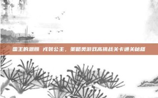 国王的恩赐 戎装公主，策略类游戏高挑战关卡通关秘籍