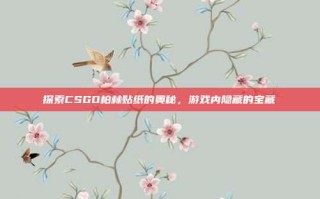 探索CSGO柏林贴纸的奥秘，游戏内隐藏的宝藏