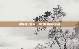 揭秘莱公传奇，游戏界的隐藏宝藏