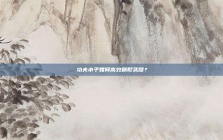 功夫小子如何高效刷取武器？