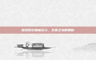 探索尼尔机械纪元，无翼之鸟的奥秘