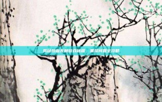揭秘热血无赖游戏秘籍，黑屏问题全攻略
