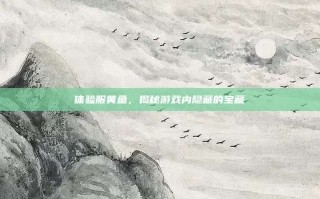 体验服黄鱼，揭秘游戏内隐藏的宝藏