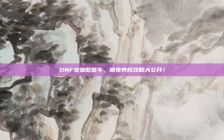 DNF宠物憨憨牛，萌宠养成攻略大公开！