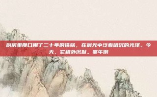 厨房里那口用了二十年的铁锅，在晨光中泛着暗沉的光泽。今天，它格外沉默。宰牛倒