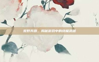 荒野兵器，揭秘游戏中的终极武器