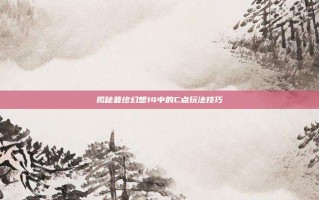 揭秘最终幻想14中的C点玩法技巧