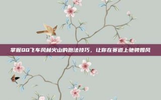掌握QQ飞车风林火山的跑法技巧，让你在赛道上驰骋如风