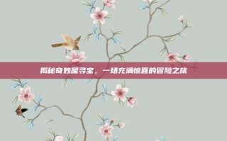 揭秘奇妙屋寻宝，一场充满惊喜的冒险之旅