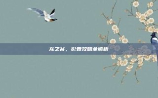 龙之谷，影音攻略全解析