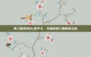 真三国无双OL新手卡，开启你的三国冒险之旅
