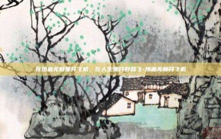 在热血无赖里开飞机，在人生里开野路飞-热血无赖开飞机