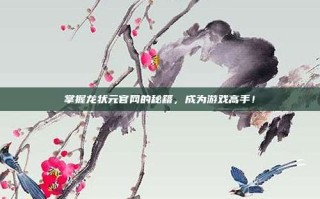掌握龙状元官网的秘籍，成为游戏高手！