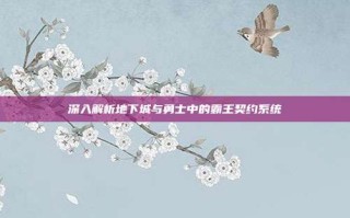 深入解析地下城与勇士中的霸王契约系统