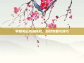 掌握风云武魂传说，游戏攻略与技巧