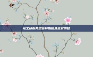 龙之谷服务器断开原因及应对策略