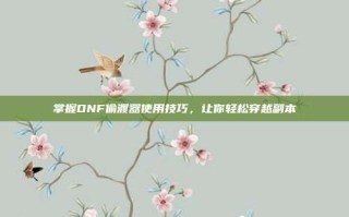 掌握DNF偷渡器使用技巧，让你轻松穿越副本