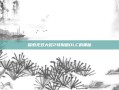 探索无双大蛇2特别版DLC的奥秘