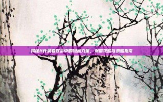 揭秘H升腾者议会中的隐藏力量，深度攻略与策略指南