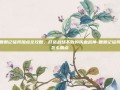 鹿鼎记猛将加点全攻略，打造战场不败的铁血战神-鹿鼎记猛将怎么加点