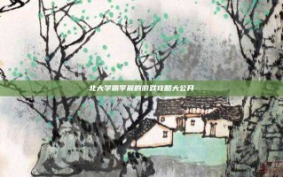 北大学霸李晨的游戏攻略大公开