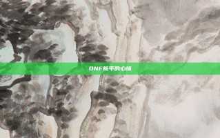 DNF新年的心情