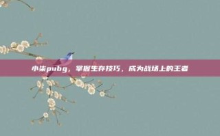 小柒pubg，掌握生存技巧，成为战场上的王者