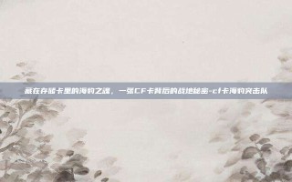 藏在存储卡里的海豹之魂，一张CF卡背后的战地秘密-cf卡海豹突击队