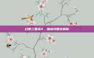 幻想三国志4，加点攻略全解析