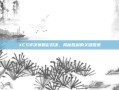 XCS半决赛精彩对决，揭秘胜利的关键因素