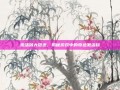 激活码大放送，揭秘游戏中的奇迹激活码