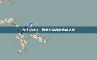 无主之地2，探索与命名的终极之旅