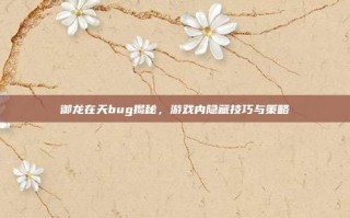 御龙在天bug揭秘，游戏内隐藏技巧与策略