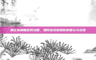 奥比岛捐赠道具攻略，如何高效使用你的爱心与资源