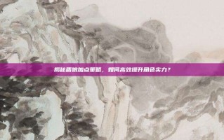 揭秘盾娘加点策略，如何高效提升角色实力？