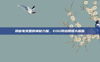 揭秘电竞圈的神秘力量，EDG网络用语大解析