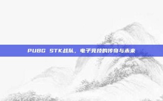 PUBG STK战队，电子竞技的传奇与未来