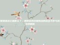 荣誉勋章战士破解补丁，解锁游戏终极挑战的合法手段与游戏资讯解析