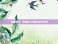 光明哨兵，揭秘游戏中的终极守护者