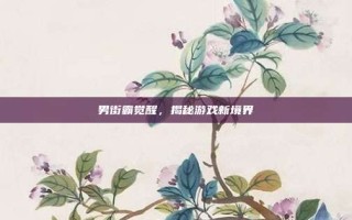 男街霸觉醒，揭秘游戏新境界