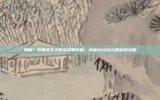 揭秘！印度驻华大使馆招聘司机，月薪4500元的游戏攻略