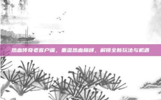 热血传奇老客户端，重温热血巅峰，解锁全新玩法与机遇