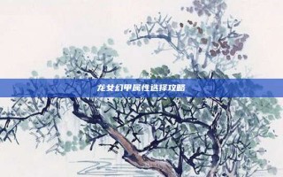 龙女幻甲属性选择攻略