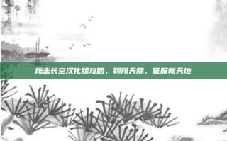 鹰击长空汉化版攻略，翱翔天际，征服新天地