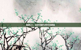 熊猫z7，游戏攻略与技巧全解析