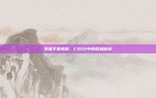 掌握手套模板，CSGO中的胜利秘诀