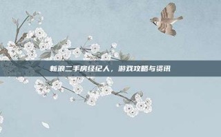 新浪二手房经纪人，游戏攻略与资讯